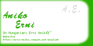 aniko erni business card